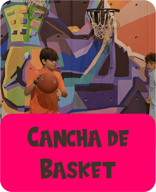 BASKET